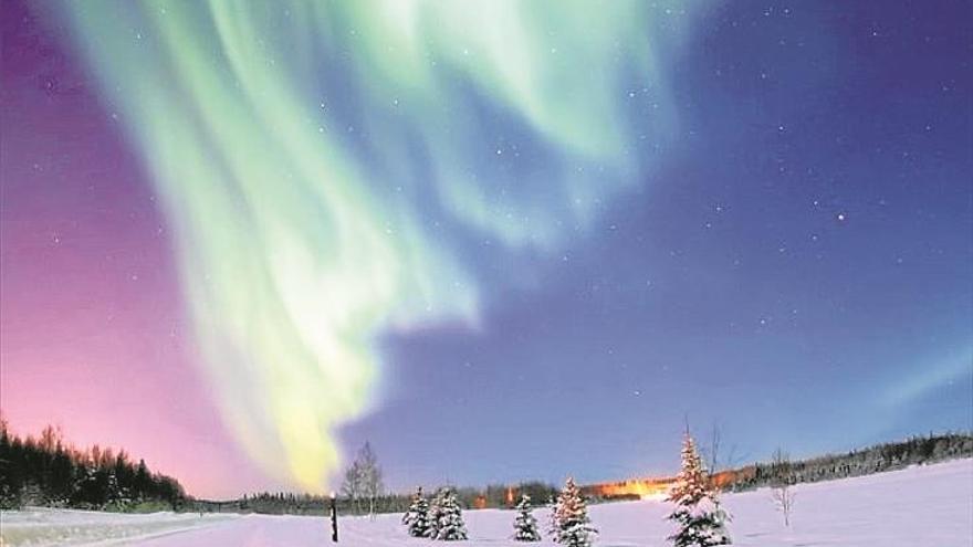 Una exposición exhibe la luz entre la naturaleza