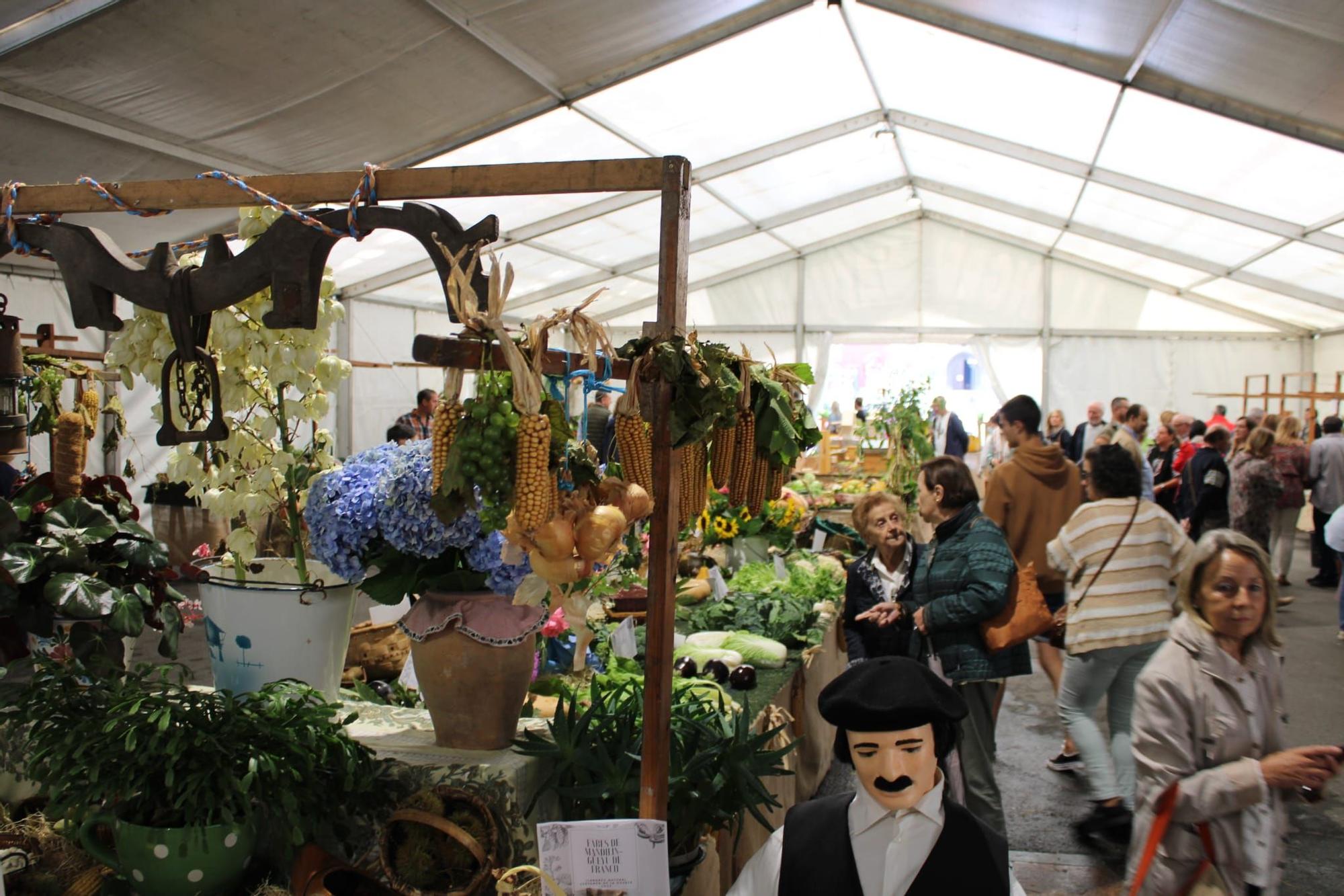 Sama celebra el III Certamen de la Huerta "Llangréu Natural"