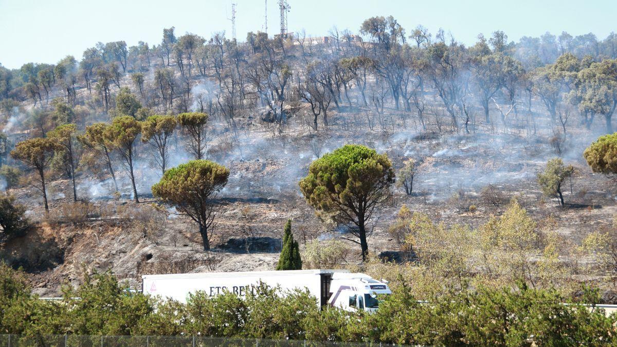 Estabilitzen l'incendi de la Jonquera que ha obligat a tallar l'AP-7