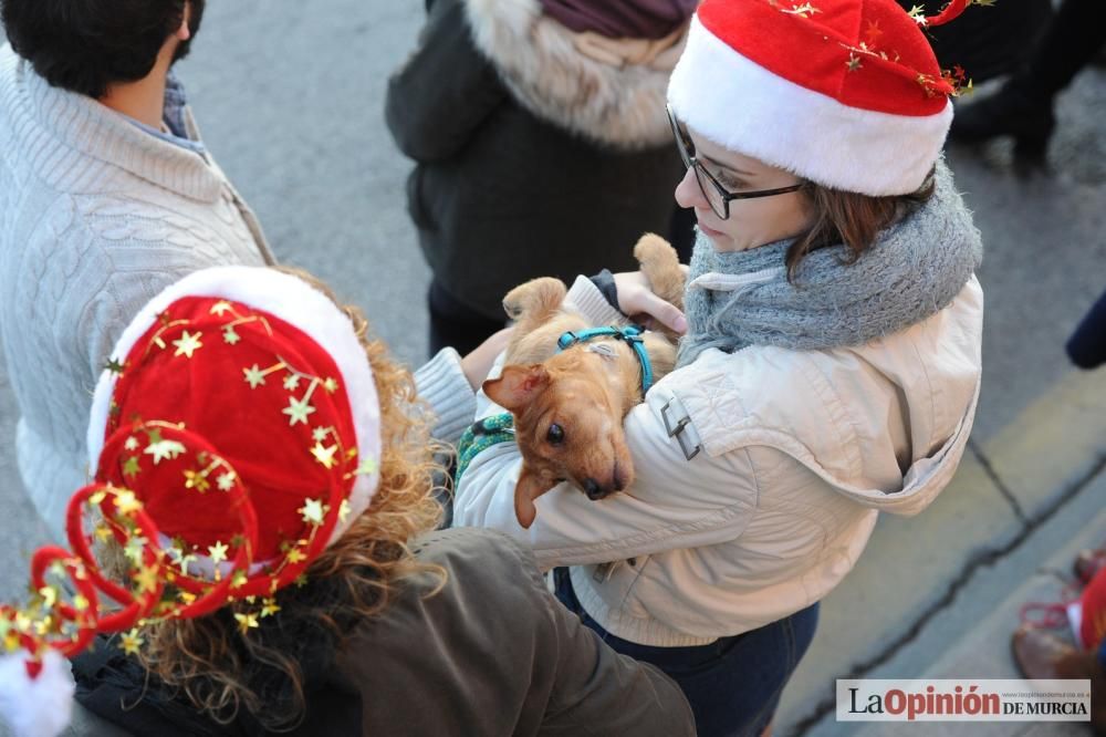 San Silvestre en Murcia