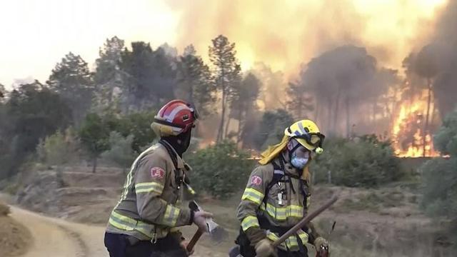 Agents combatent les flames al Baix Empordà. | BOMBERS CATALUNYA / EFE