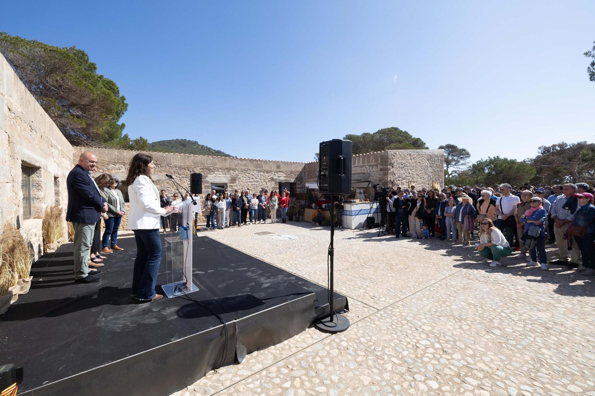 Apertura del Yacimiento Fenicio de Sa Caleta