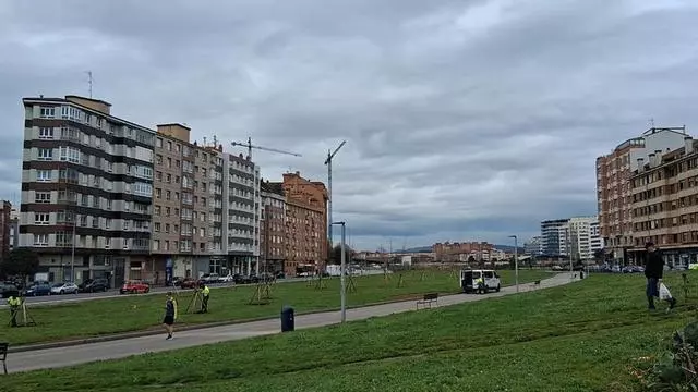 Vídeo: La plantación de árboles en el Solarón continúa a pesar de la advertencia de Adif