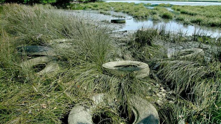 Algunos de los neumáticos depositados en las marismas en el entorno de Mariñán.