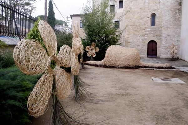 Dimarts de Temps de Flors