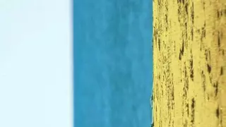 ¿Por qué la bandera de Canarias sale en el WhatsApp?