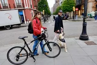 En imágenes: la opinión de los gijoneses sobre la regulación de los patinetes