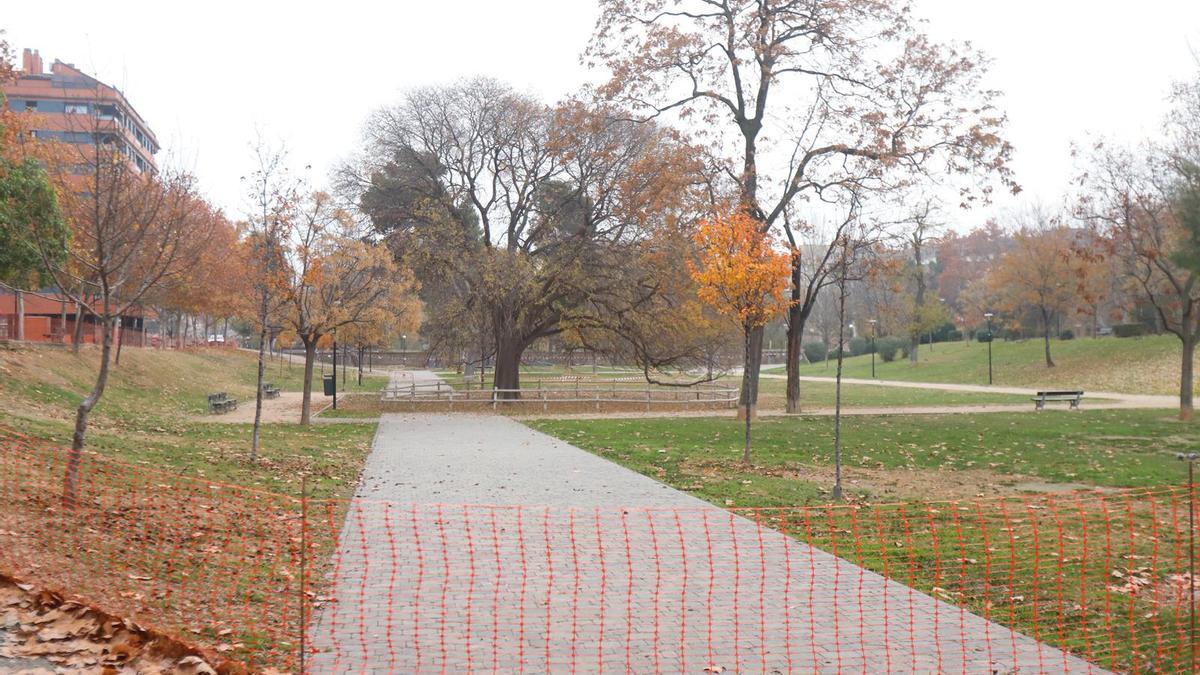 El almez del parque Bruil sin hojas y con su doble vallado, esta semana en Zaragoza.