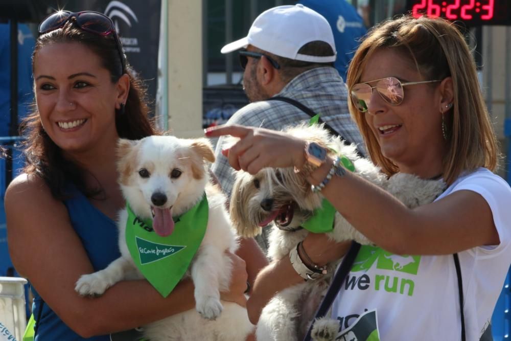 El Parque Huelin ha acogido la primera edición de un evento destinado a las mascotas y a sus dueños, con carreras en diversas categorías, actividades gratuitas y numerosos stands