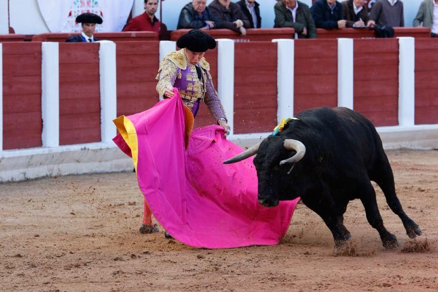 Tarde de toros en Zamora