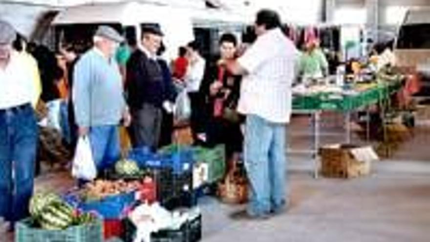 El mercadillo dominical vuelve con gran éxito