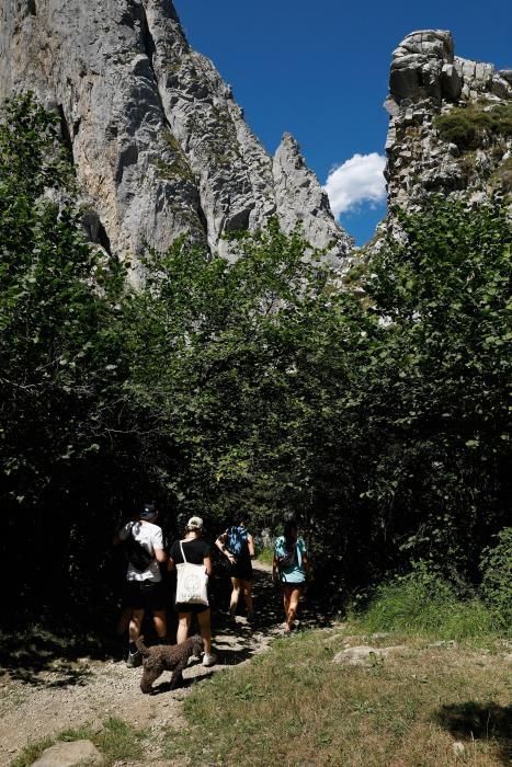 Rutas por Asturias: por las Foces de El Pino