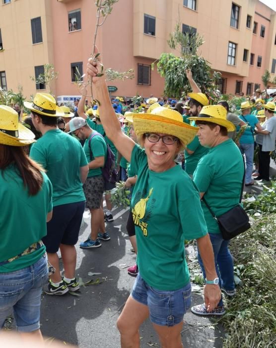 La Rama de Gáldar 2017