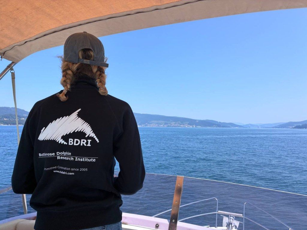 Biólogos, doctores y estudiantes del BDRI hacen un estrecho seguimiento de los mamíferos marinos en las rías de Vigo, Pontevedra y Arousa.