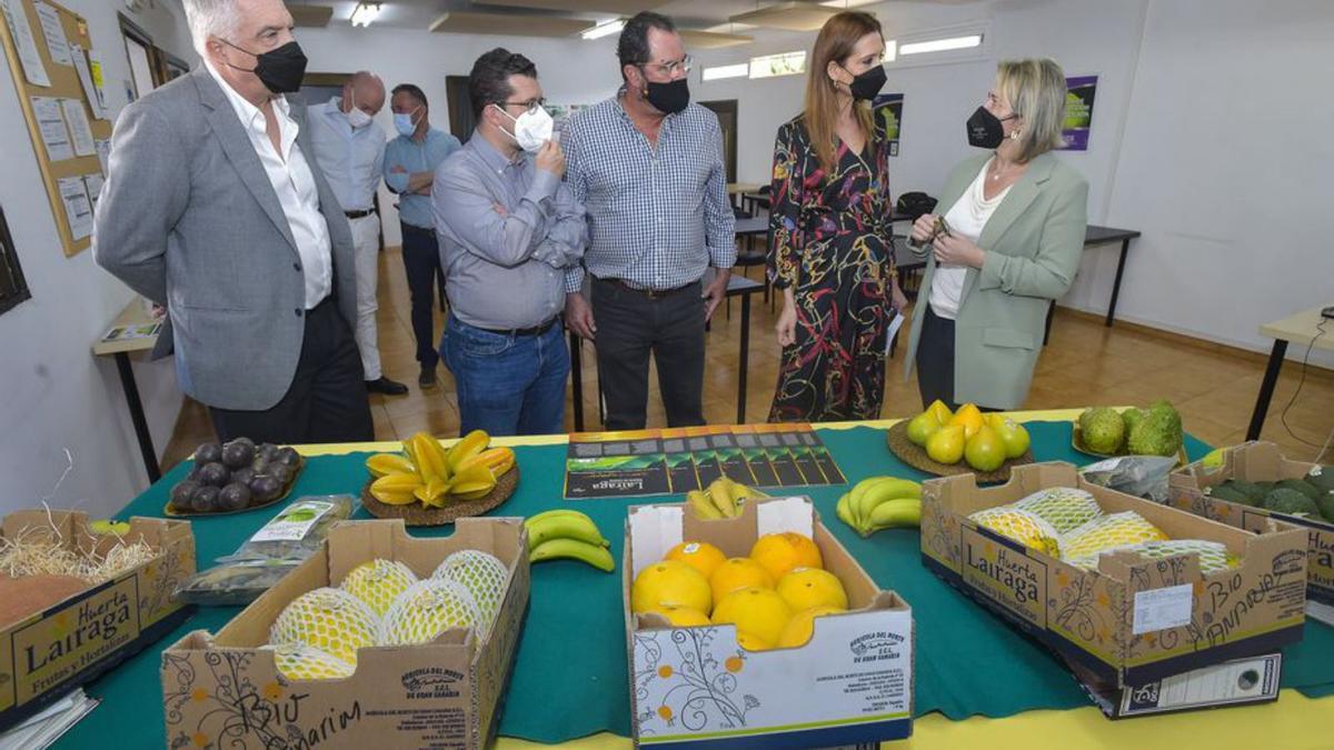 Visita de representantes políticos e institucionales ayer en Arucas. | | ANDRÉS CRUZ