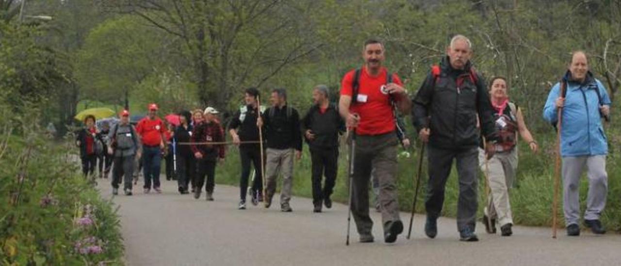 El grupo de caminantes de la ruta vaqueira, ayer, a su paso por Tamargo (Las Regueras).