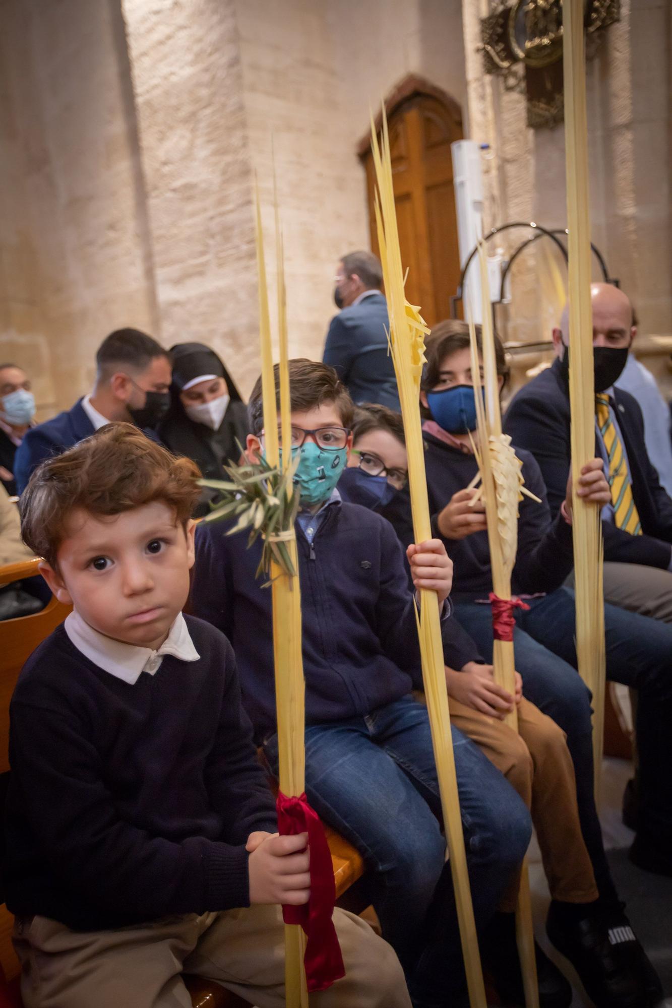 El obispo Munilla preside la procesión de las Palmas en Orihuela