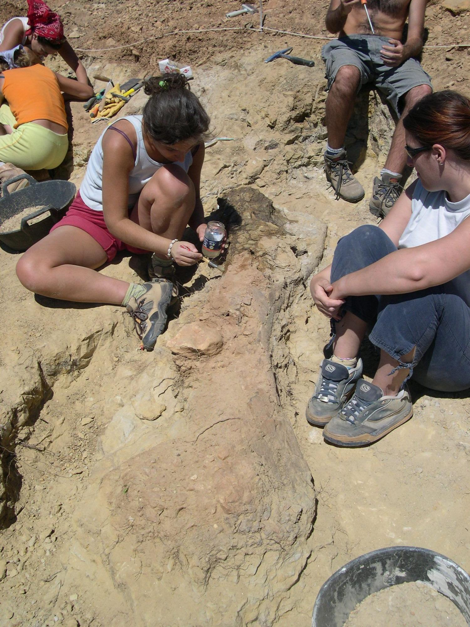 Paleontólogos excavando en la Corcolilla, en Alpuente.