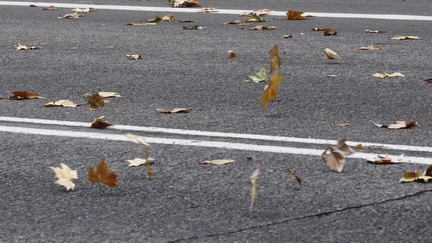 Se va acercando el otoño climatológico