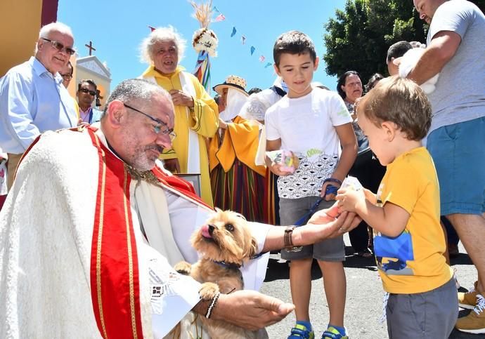 05/08/2019 LOMO MAGULLO. TELDE. Procesión de la Virgen de Las Nieves y pase de mascotas al finalizar el acto.   Fotógrafa: YAIZA SOCORRO.  | 05/08/2019 | Fotógrafo: Yaiza Socorro