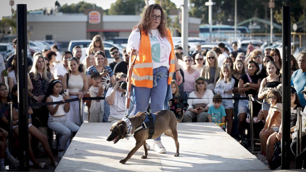FOTOS | Desfile de Peluditos: Varios perros de Son Reus buscan un hogar