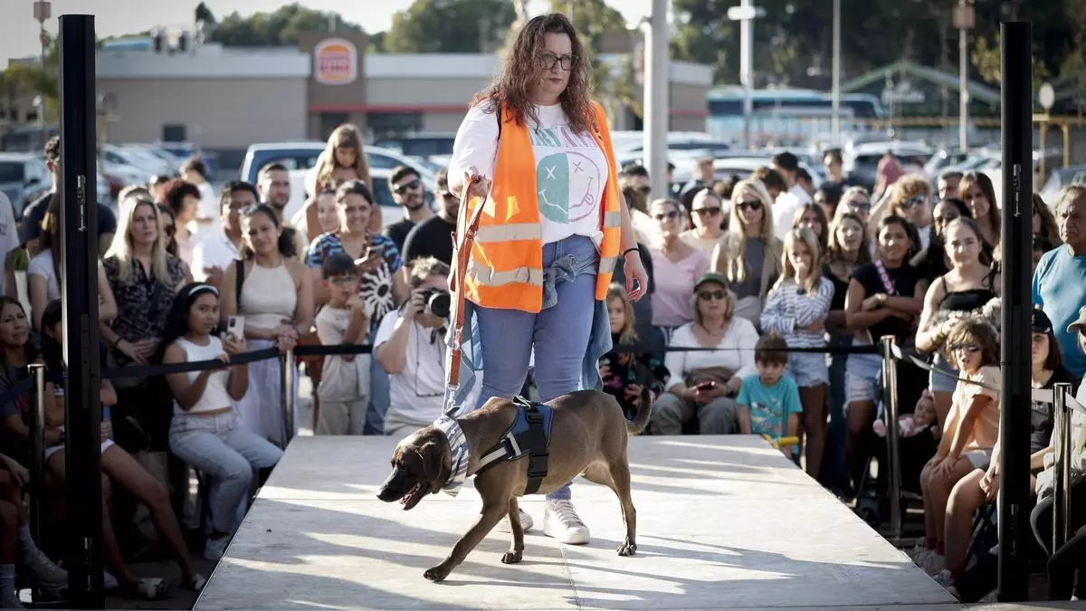 Desfile de Peluditos: Varios perros de Son Reus buscan un hogar