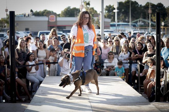 FOTOS | Desfile de Peluditos de Son Reus el pasado octubre