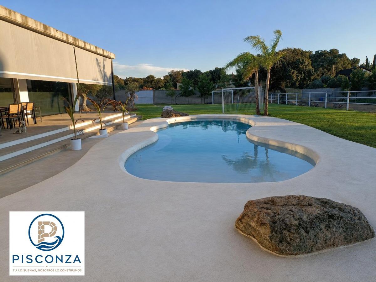 Piscina de forma libre con rocas decorativas.