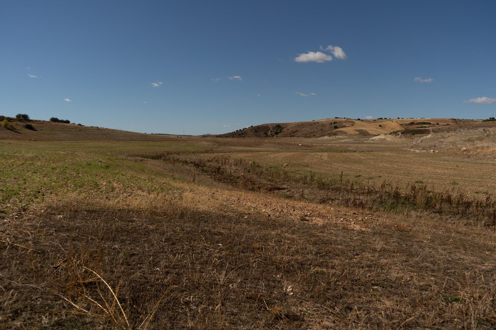 GALERÍA | Las imágenes del estado del embalse de Ricobayo hoy: al 18% de su capacidad