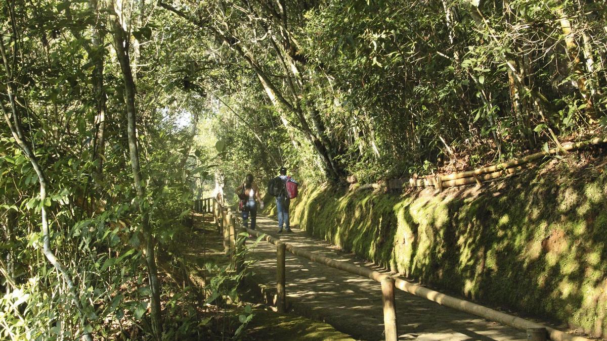 Camino a la Mesita B en el Parque Arqueológico de San Agustin