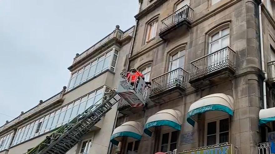 Despliegue de bomberos para salvar a una gaviota atrapada en un balcón en Vigo