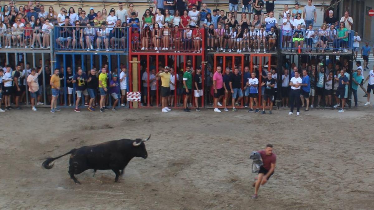 Nules brinda dos toros en esta jornada, víspera del día del patrón.