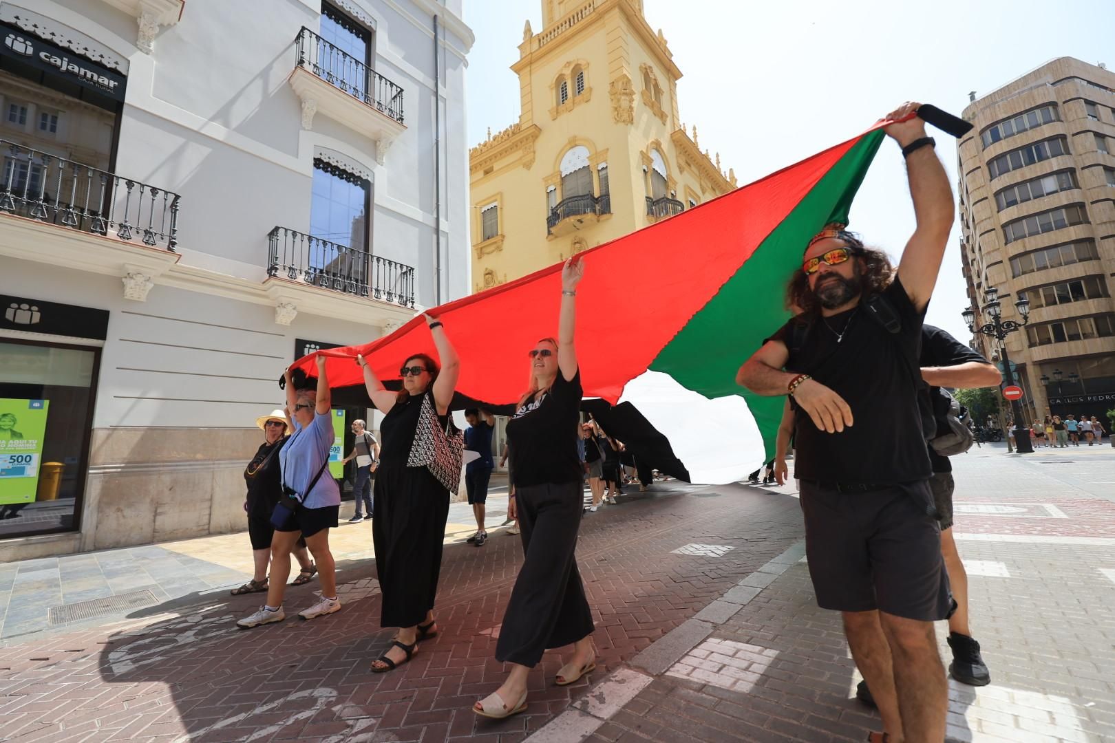 Manifestación a favor del pueblo palestino y la paz en Castellón