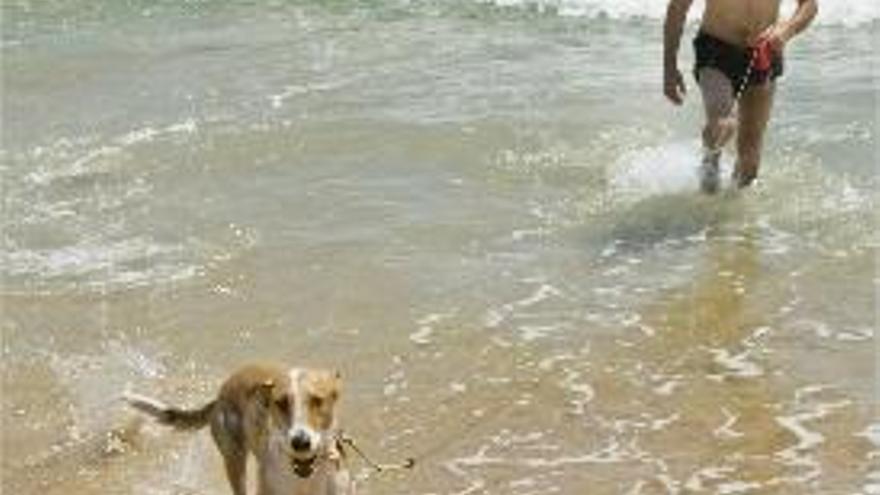 Valentín Puig, ayer con su perro, en Playa Can de Gandia.