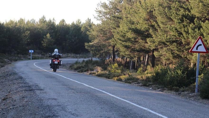 Varias de las deficiencias del firme en la carretera ZA-921 entre Puebla y Rihonor. | A. S.