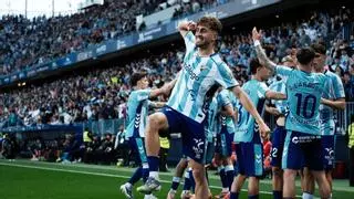 Bienvenidos al manicomio La Rosaleda