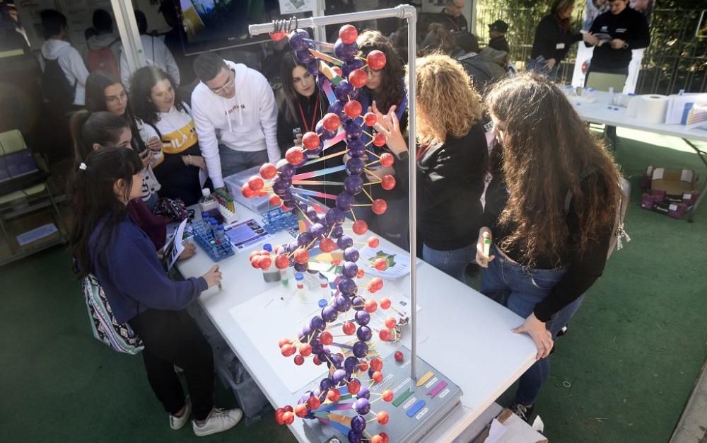 Arranca la Semana de la Ciencia en Murcia