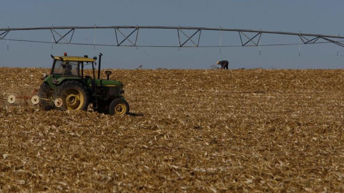 Sistemas de regadío en un campo de secano.