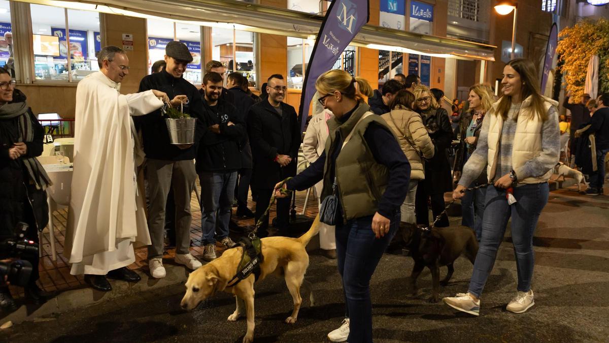 Galería de fotos de la Matxà de Sant Antoni en Vila-real