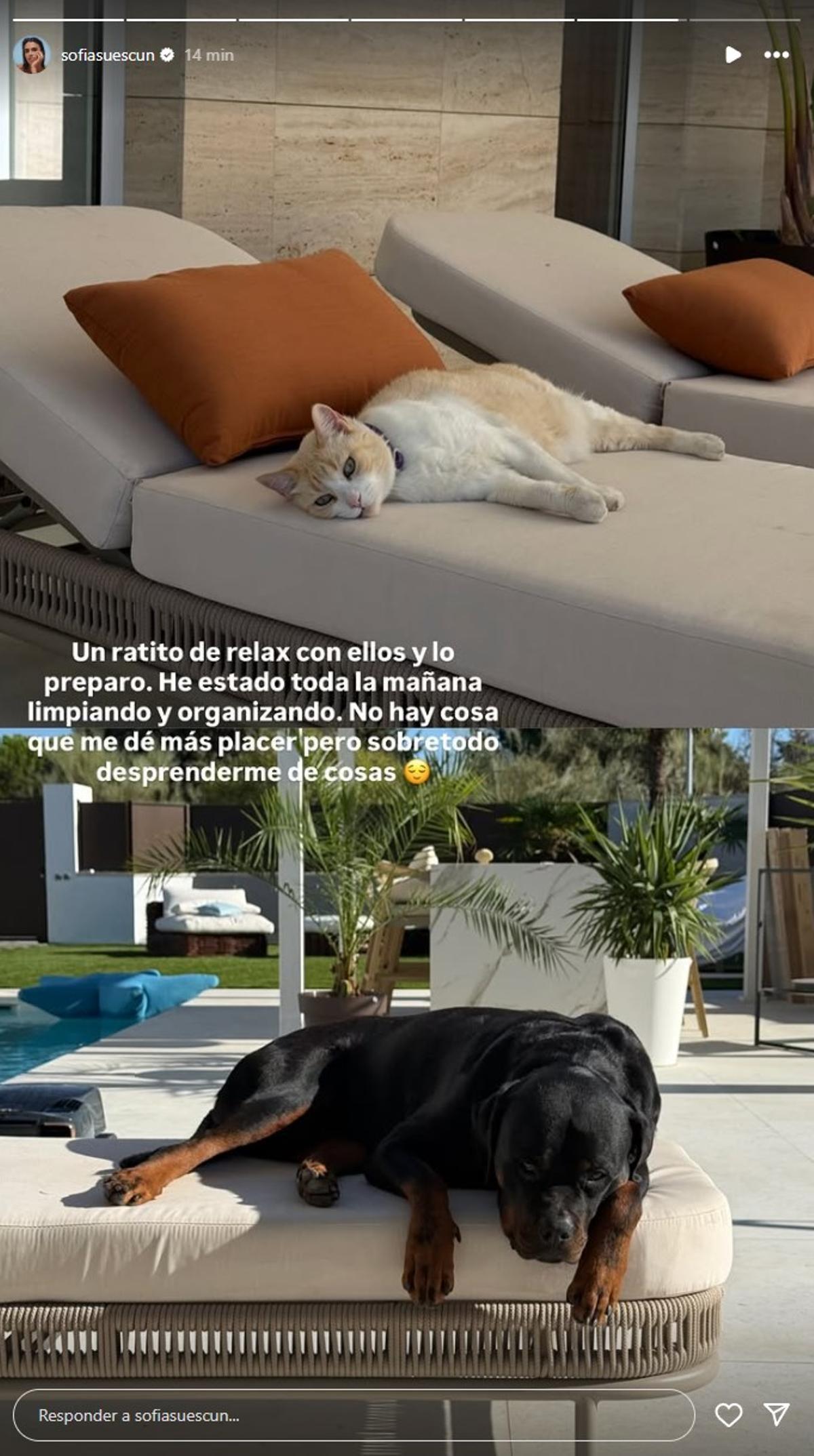 Las mascotas de Sofía Suescun.