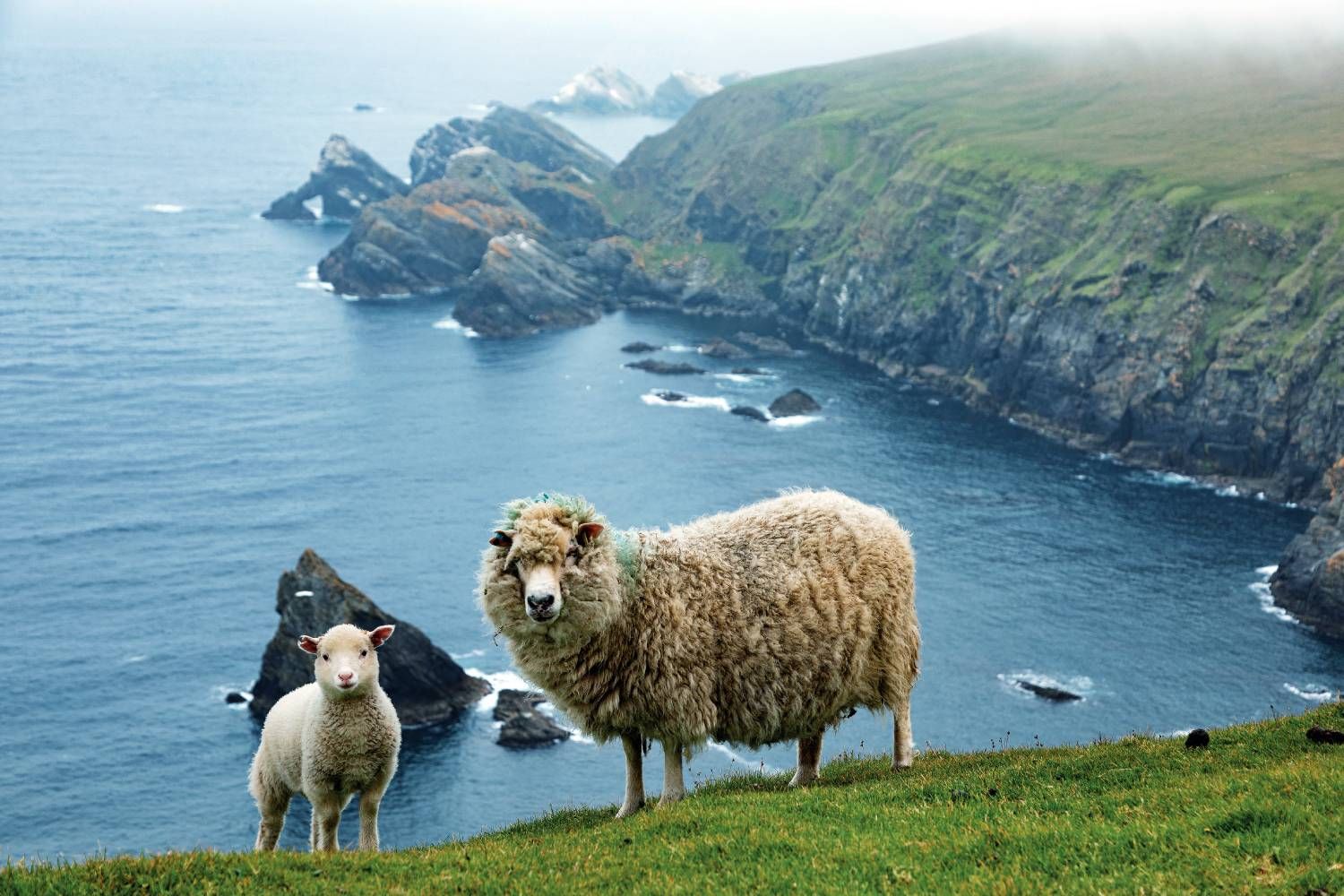 Descubrimos algunos de los paisajes más espectaculares de Escocia.