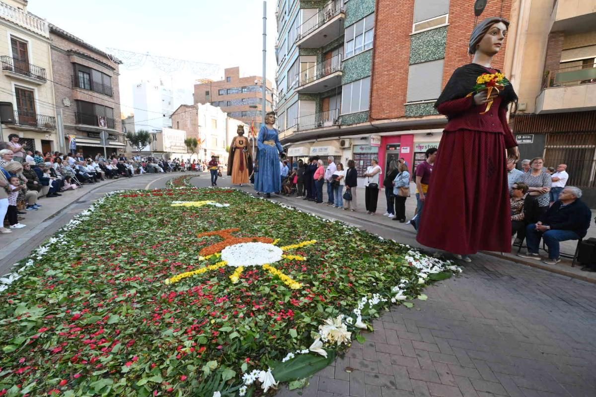 Galería | Procesión de San Pascual