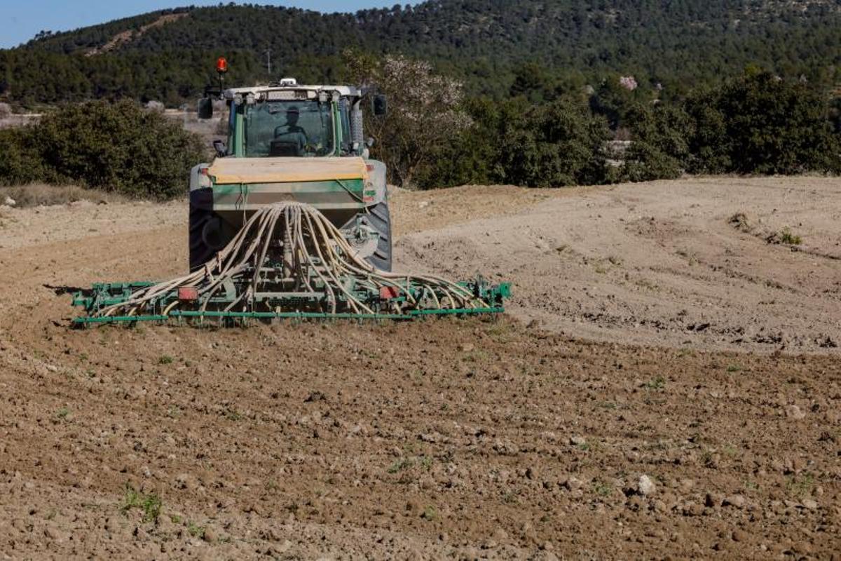 Tareas de labranza en una explotació de cereales en Alicante, en una una imagen de archivo.