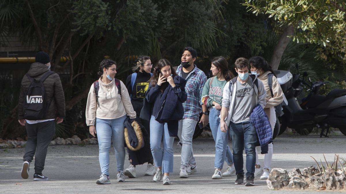 Diversos estudiants passegen pel campus de Burjassot de la Universitat de València.