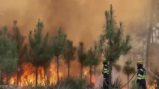 Susto en el norte de Cáceres: el humo de los incendios de Portugal llega a la provincia