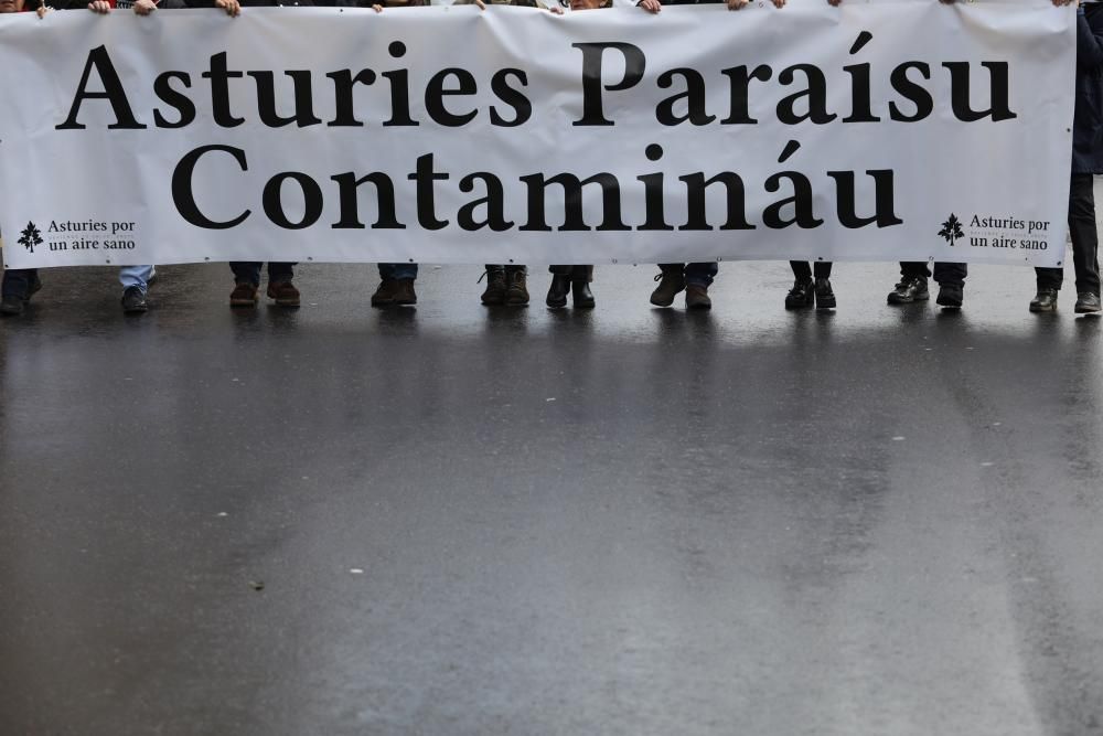 Manifestación en las calles de Gijón contra la contaminación en Asturias