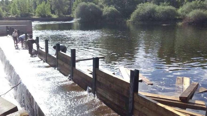 El agua represada eleva la lámina de agua del río Tera facilitando el baño en la zona.