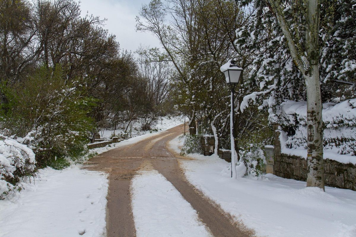 Puerto de Navacerrada, Madrid