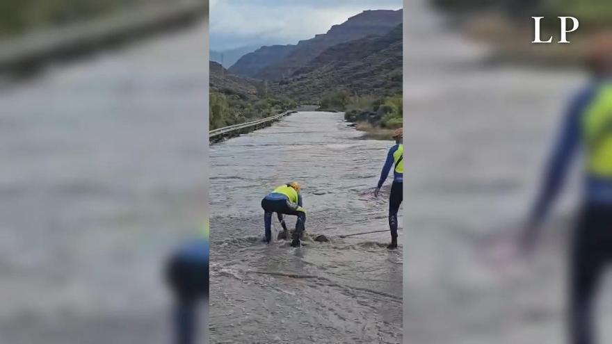 Rescate de dos personas en Cercados de Espino, en Mogán, por la borrasca Therese.