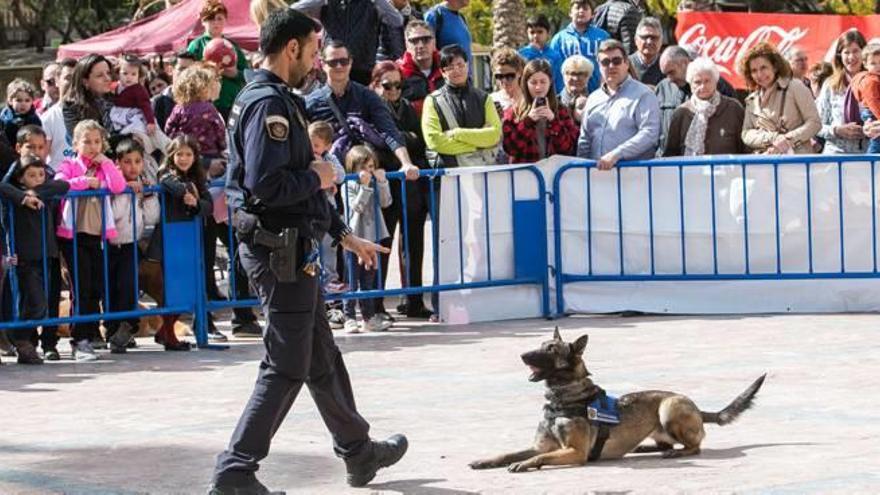 Exhibición canina y almuerzo